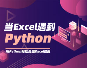 ExcelPython̳